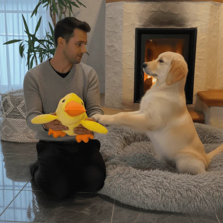 RelaxDuck