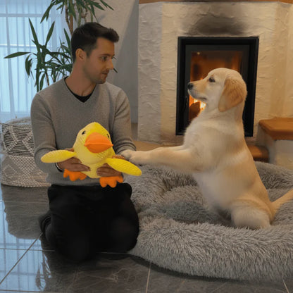 RelaxDuck
