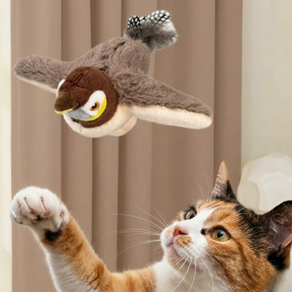 Birdy