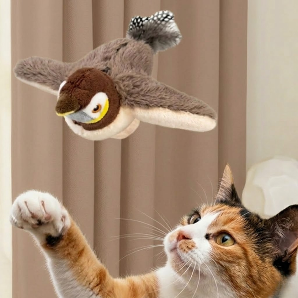 Cat's WildBird