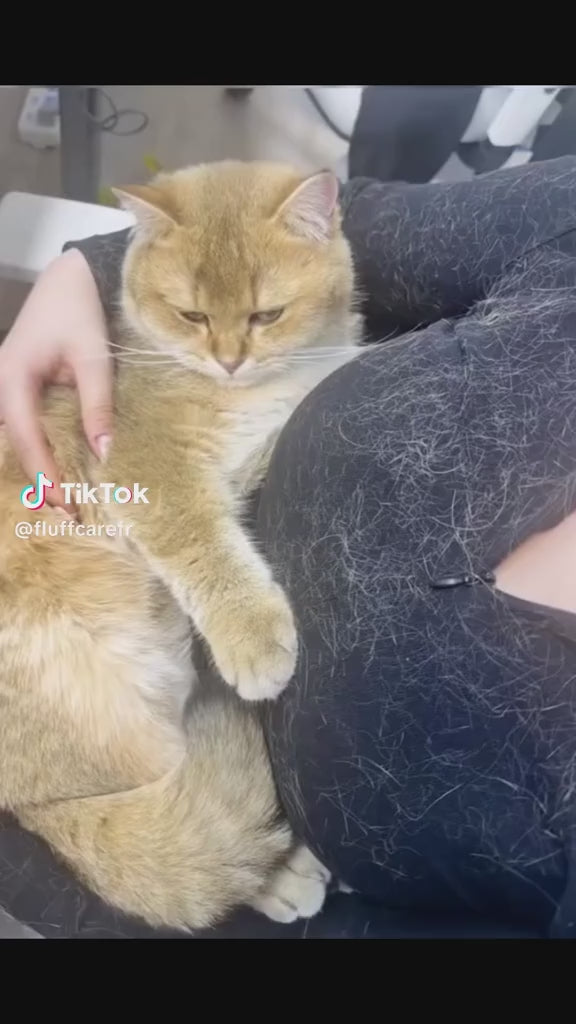 Heading for the video